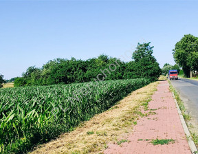 Rolny na sprzedaż, Grodziski Izdebno Kościelne, 2 015 000 zł, 40 300 m2, G-90326-6