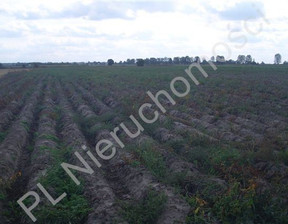 Rolny na sprzedaż, Grodziski Chlebnia, 14 250 000 zł, 95 000 m2, G-69017-0/E25