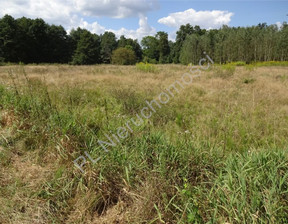 Rolny na sprzedaż, Wołomiński Czubajowizna, 169 000 zł, 4600 m2, G-85781-7