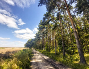 Działka na sprzedaż, Mogileński Strzelno Ostrowo, 70 000 zł, 10 700 m2, 932965