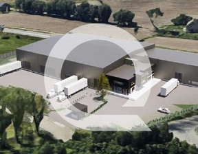 Magazyn do wynajęcia, Gdańsk M. Gdańsk, 36 000 zł, 1200 m2, QRC-HW-6518