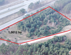 Rolny na sprzedaż, Aleksandrowski Aleksandrów Kujawski Kuczek, 195 000 zł, 10 012 m2, MDI-GS-4912