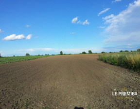 Handlowo-usługowy na sprzedaż, Trzebnicki Żmigród Dobrosławice, 320 000 zł, 29 977,73 m2, LP568227