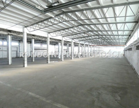 Magazyn do wynajęcia, Wrocław M. Wrocław Fabryczna, 40 000 zł, 1500 m2, RDO-HW-6312