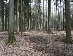 Leśne na sprzedaż, Suski Budzów, 20 000 zł, 2500 m2, 5499/3123/OGS
