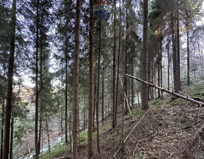Leśne na sprzedaż, Nowotarski Nowy Targ, 23 500 zł, 2128 m2, 2269/2680/OGS