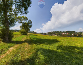 Działka na sprzedaż, Nowotarski Łapsze Niżne Falsztyn, 299 000 zł, 1342 m2, 2576/2680/OGS