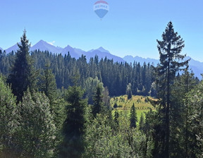 Rolny na sprzedaż, Tatrzański Bukowina Tatrzańska Rzepiska, 60 000 zł, 3052 m2, 2669/2680/OGS