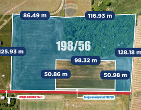 Rolny na sprzedaż, Koszaliński Będzino Śmiechów, 799 000 zł, 19 900 m2, GDF21167