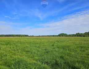 Działka na sprzedaż, Tarnogórski Ożarowice Zendek ks. Antoniego Śliwy, 140 000 zł, 19 700 m2, 97/5552/OGS