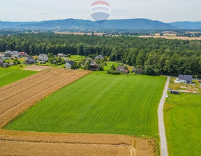 Działka na sprzedaż, Wadowicki Wieprz Nidek Różana, 630 000 zł, 14 791 m2, 3216/2674/OGS