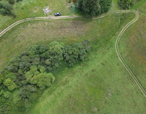 Działka na sprzedaż, Gdański Trąbki Wielkie Ełganowo, 1 250 000 zł, 20 000 m2, 393/5569/OGS