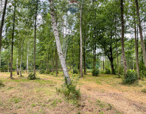 Budowlany na sprzedaż, Grodziski (pow.) Jaktorów (gm.) Jaktorów Karliczka, 173 000 zł, 1194 m2, 1596/2037/OGS