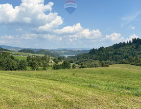 Działka na sprzedaż, Nowotarski Łapsze Niżne Falsztyn, 280 000 zł, 1255 m2, 2575/2680/OGS