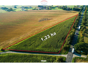 Działka na sprzedaż, Cieszyński Hażlach Rudnik, 595 000 zł, 12 316 m2, 5712/3123/OGS