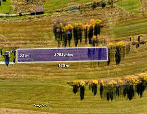 Działka na sprzedaż, Tatrzański Bukowina Tatrzańska Białka Tatrzańska, 750 000 zł, 3003 m2, 2636/2680/OGS