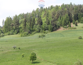 Leśne na sprzedaż, Nowotarski Krościenko Nad Dunajcem Krośnica, 198 000 zł, 8049 m2, 2601/2680/OGS