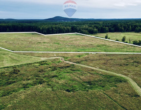 Działka na sprzedaż, Słupski Smołdzino Smołdziński Las, 390 000 zł, 81 864 m2, 392/5569/OGS