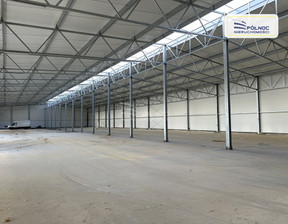 Magazyn, hala do wynajęcia, Legnicki Chojnów Okmiany, 56 000 zł, 2700 m2, 311/3877/OOW