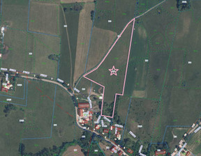 Rolny na sprzedaż, Węgorzewski Węgorzewo Rudziszki, 82 000 zł, 21 800 m2, MBN-GS-1088