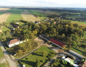 Obiekt zabytkowy na sprzedaż, Kluczborski Wołczyn Krzywiczyny Pałac Krzywiczyny, 790 000 zł, 1100 m2, 155890589