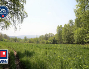 Przemysłowy na sprzedaż, Kłodzki Lądek-Zdrój Mickiewicza, 2 604 420 zł, 40 068 m2, 16425