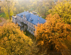Dom na sprzedaż, Nowotomyski (Pow.) Opalenica (Gm.) Niegolewo, 3 600 000 zł, 800 m2, 15205