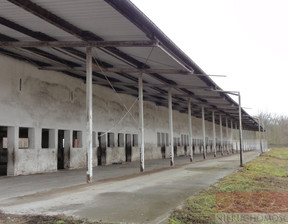 Magazyn, hala na sprzedaż, Szamotulski Wronki Biezdrowo, 2 300 000 zł, 2000 m2, 5/1895/OHS