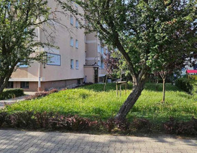 Mieszkanie na sprzedaż, Poznań Wilda Dębiec Łozowa, 350 000 zł, 37,5 m2, 23860061