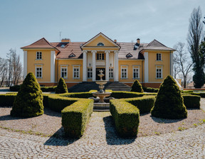 Dom na sprzedaż, Nakielski (Pow.) Kcynia (Gm.) Chwaliszewo, 29 000 000 zł, 520 m2, 13/23