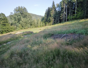 Budowlany na sprzedaż, Bielsko-Biała Lipnik, 1 965 440 zł, 12 284 m2, 235