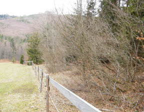 Rolny na sprzedaż, Żywiecki (Pow.) Węgierska Górka (Gm.) Cięcina Dolna Cięcina, 170 000 zł, 5644 m2, 244