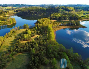 Rolny na sprzedaż, Jeleniewo Udziejek, 650 000 zł, 50 600 m2, WIL972988