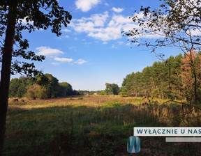 Budowlany na sprzedaż, Młodzieszyn Bieliny, 850 000 zł, 24 880 m2, WIL219581