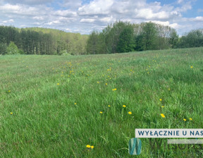 Budowlany na sprzedaż, Ostróda Kajkowo, 250 000 zł, 1634 m2, WIL766052