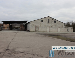 Magazyn do wynajęcia, Jasieniec, 9000 zł, 500 m2, WIL919522