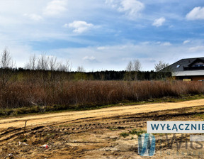 Działka na sprzedaż, Joniec Ludwikowo, 653 400 zł, 19 800 m2, WIL908926