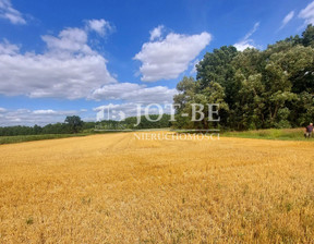 Działka na sprzedaż, Oleśnicki Oleśnica Cieśle, 588 000 zł, 19 600 m2, 4245/4112/OGS