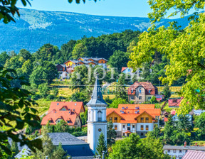 Dom na sprzedaż, Karkonoski Szklarska Poręba, 2 600 000 zł, 350 m2, 5493/4112/ODS