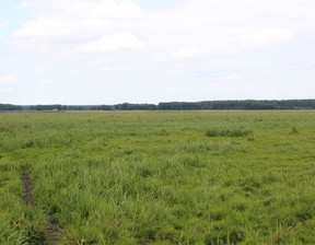 Rolny na sprzedaż, Gryfiński Mieszkowice Kłosów, 2 691 700 zł, 769 068 m2, 54390868