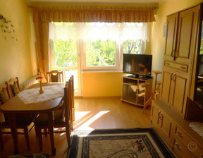 Mieszkanie do wynajęcia, Pabianicki Pabianice, 1500 zł, 47,87 m2, AFK-MW-2734