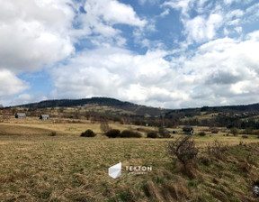 Budowlany na sprzedaż, Wałbrzyski Głuszyca Sierpnica Zielone Wzgórze, 4 000 000 zł, 40 489 m2, TC566132