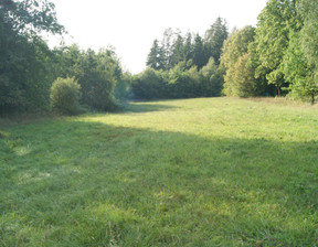 Działka na sprzedaż, Mrągowski Sorkwity Szymanowo, 79 000 zł, 2600 m2, 2038