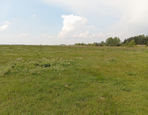 Działka na sprzedaż, Ostrzeszowski (Pow.) Kobyla Góra (Gm.) Pisarzowice, 102 000 zł, 1200 m2, TTT-00000357