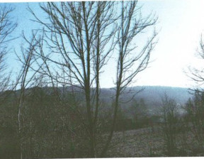 Działka na sprzedaż, Suski (Pow.) Budzów (Gm.) Palcza, 99 894 zł, 21 940 m2, TTT-00000311