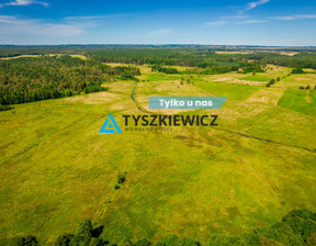 Rolny na sprzedaż, Bytowski Trzebielino Poborowo, 42 000 zł, 9200 m2, TY223775