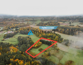 Rolny na sprzedaż, Wejherowski Linia Tłuczewo, 399 000 zł, 13 493 m2, TY712016