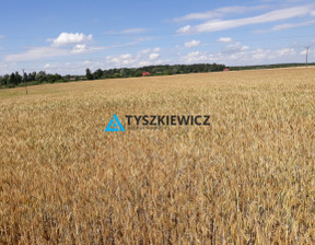 Przemysłowy na sprzedaż, Sztumski Sztum Koniecwałd, 5 780 000 zł, 105 064 m2, TY222339