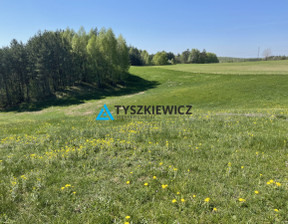 Działka na sprzedaż, Wejherowski Luzino Milwino Rolnicza, 290 000 zł, 3111 m2, TY978070