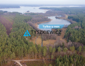 Działka na sprzedaż, Starogardzki Osiek Okarpiec, 220 000 zł, 30 080 m2, TY499126